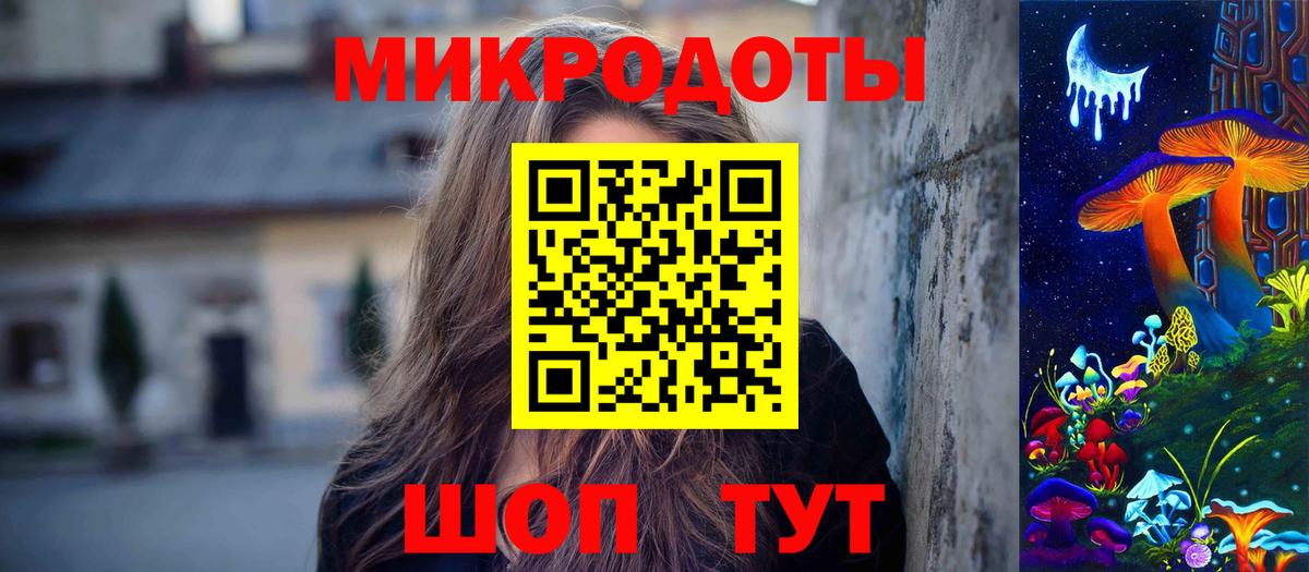 Псилоцибиновые грибы Psilocybe Обь