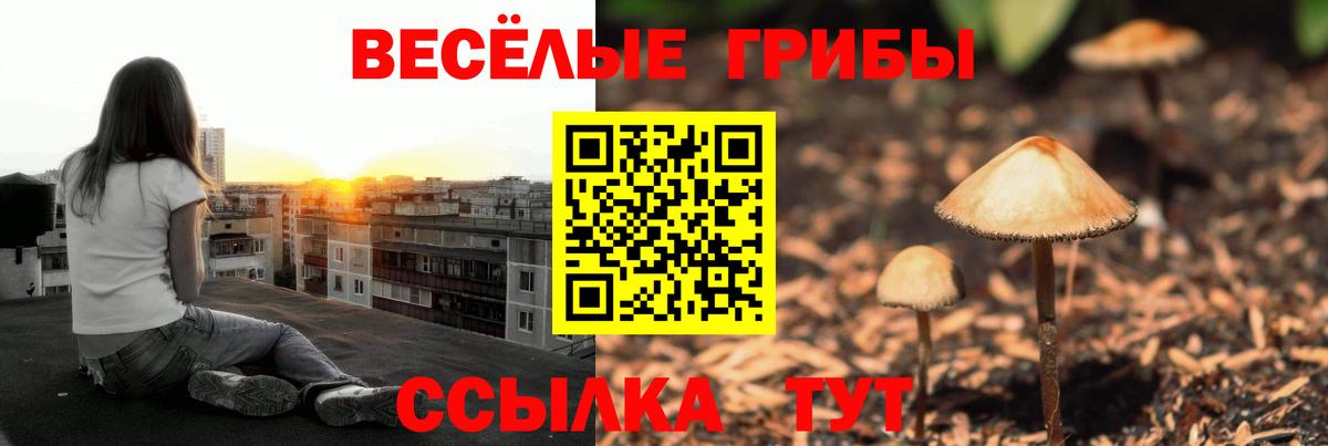 Обь  Псилоцибиновые грибы GOLDEN TEACHER  Псилоцибиновые грибы Cubensis  купить закладку  Вход с VPN 